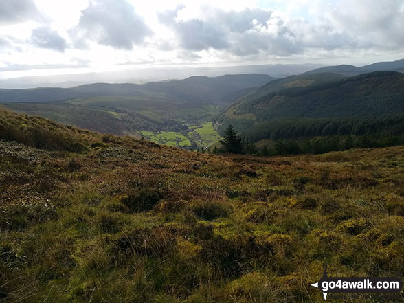 Walk gw167 Waun-oer, Cribin Fawr and Maesglase from Bryn Coedwig, Aberllefenni - Cwm Ratgoed from Mynydd Ceiswyn