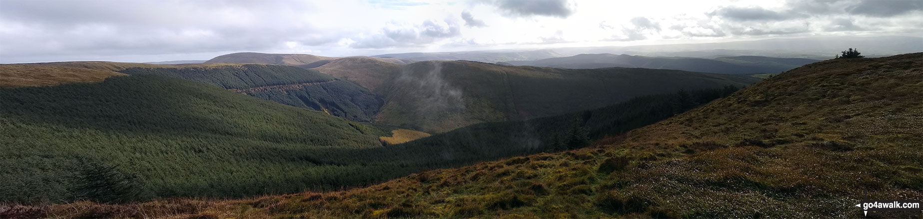 Walk gw167 Waun-oer, Cribin Fawr and Maesglase from Bryn Coedwig, Aberllefenni - Mynydd Dolgoed and Cwm Ratgoed from Mynydd Ceiswyn