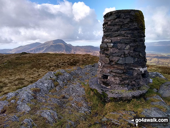 Walk gw167 Waun-oer, Cribin Fawr and Maesglase from Bryn Coedwig, Aberllefenni - The trig point on the summit of Waun-oer