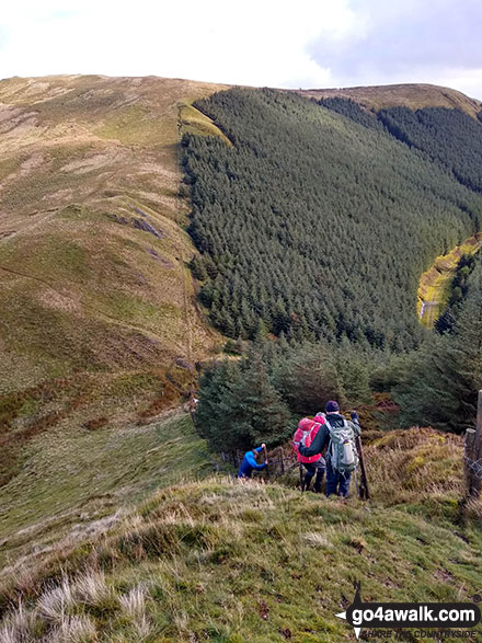 Tackling the steep descent from the summit of Waun-oer 