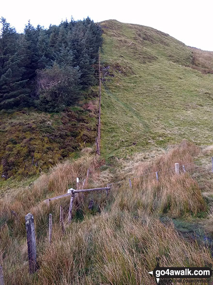 Looking back up to Waun-oer from the bwlch between Waun-oer and Cribin Fawr 