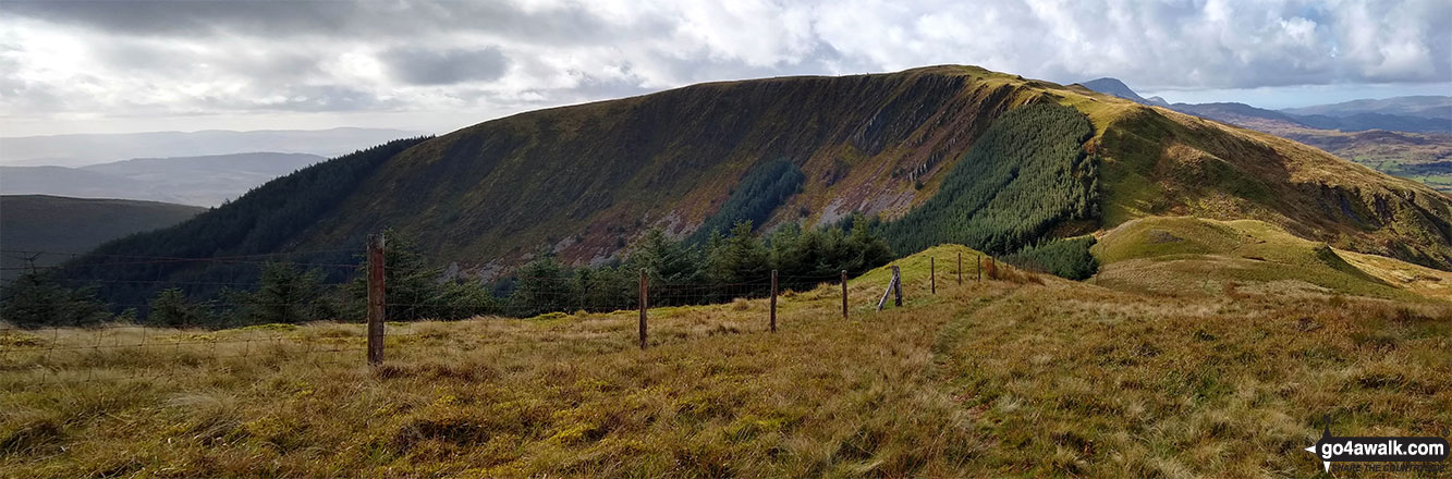 Waun-oer from Cribin Fawr