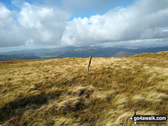 Post marking the summit of Cribin Fawr