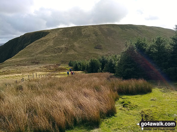 Walk gw113 Waun-oer and Cribin Fawr from Bryn Coedwig, Aberllefenni - Craig Portas from Cribin Fawr