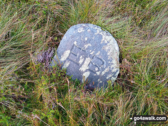 Walk gw167 Waun-oer, Cribin Fawr and Maesglase from Bryn Coedwig, Aberllefenni - Boundary stone on Craig Portas