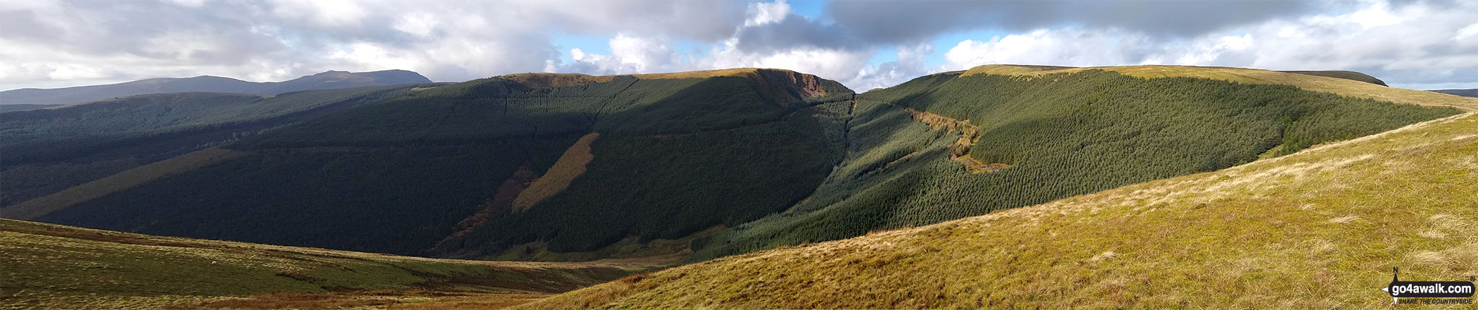 Walk gw113 Waun-oer and Cribin Fawr from Bryn Coedwig, Aberllefenni - Waun-oer and Cribin Fawr from the summit of Craig Portas