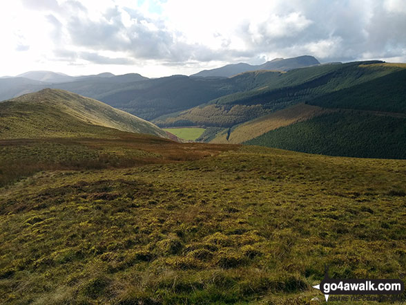 Walk gw167 Waun-oer, Cribin Fawr and Maesglase from Bryn Coedwig, Aberllefenni - The Cwm Nant Ceiswyn from the Mynydd Dolgoed ridge