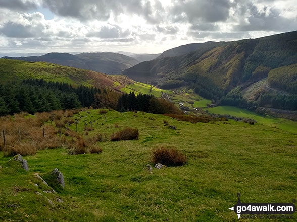 Walk gw167 Waun-oer, Cribin Fawr and Maesglase from Bryn Coedwig, Aberllefenni - Cwm Ratgoed from Mynydd Dolgoed