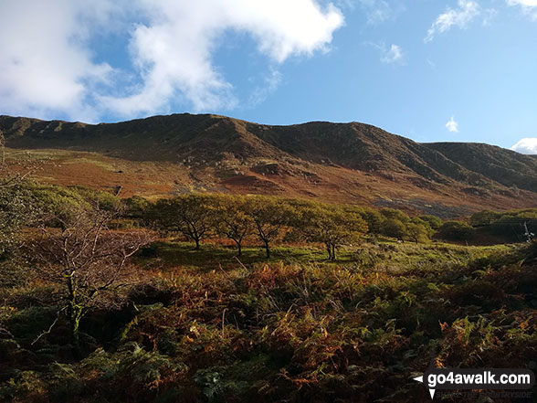 Mynydd Cymerau from Cwm Ratgoed 