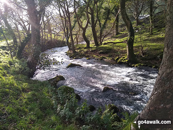 Nat Ceiswyn in Cwm Ratgoed 