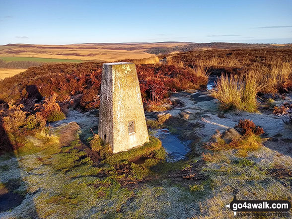 Walk d297 Birchen Edge, Nelson's Monument and Wellington's Monument from Baslow - The trig point on Birchen Edge