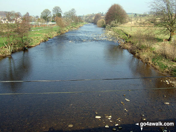 Walk bo106 Carby Hill (Caerba Hill) from Newcastleton - Liddel Water at Newcastleton or Copshaw Holm