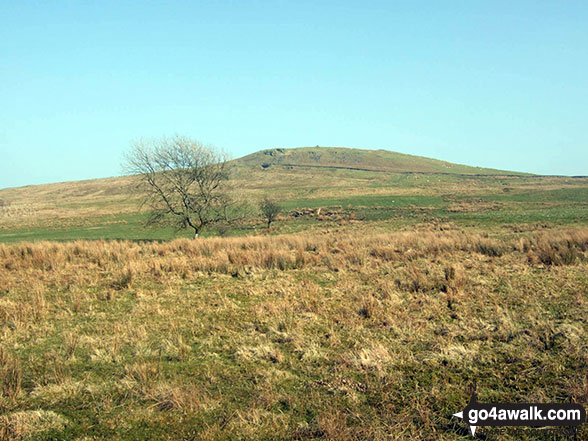 Walk bo116 Roan Fell from Newcastleton - Carby Hill (Caerba Hill)