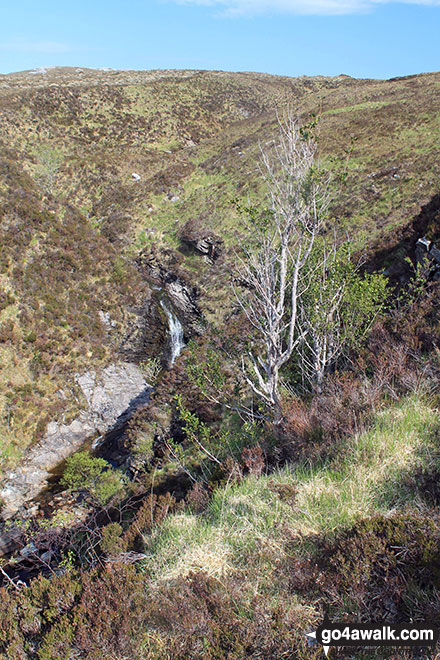 Walk h129 Ben Hope from Muiseal, Strath More - The lower slopes of Ben Hope