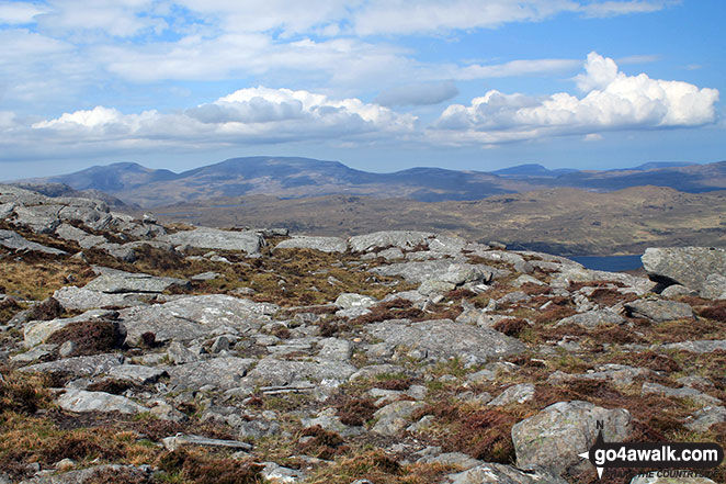 Looking north from the upper slopes of Carn a' Ghallaich, Ben Hope