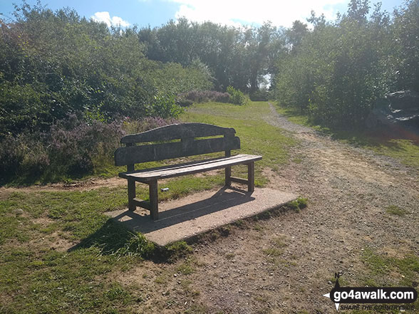 Bench on the path up Bardon Hill