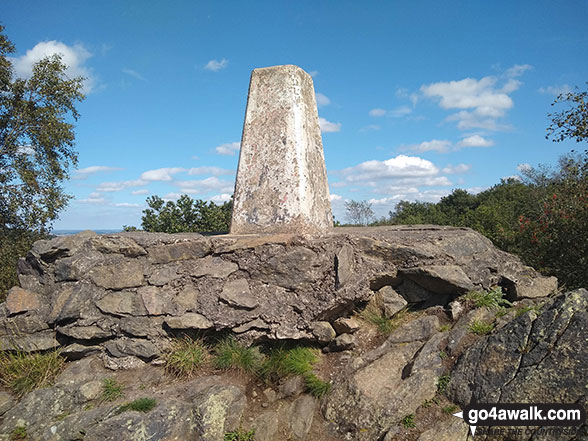 Trig Point on the summit of Bardon Hill 