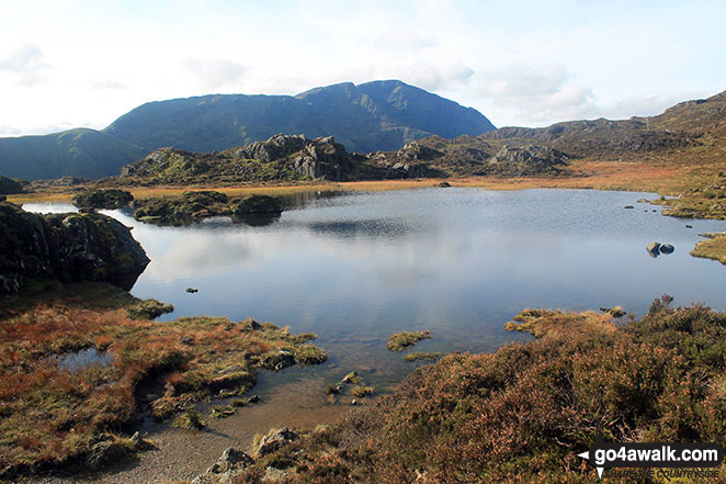 Walk c287 The High Stile Ridge and Hay Stacks from Buttermere - Innominate Tarn with Great Gable beyond