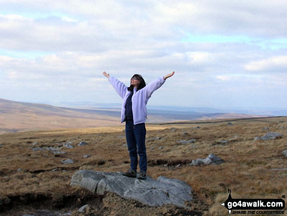 On Great Whernside summit