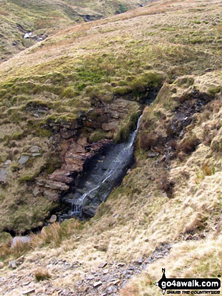 Walk ny117 Little Whernside and Great Whernside from Scar House Reservoir, Nidderdale - One of the many streams that flow into Stone Beck on the lower slopes of Great Whernside