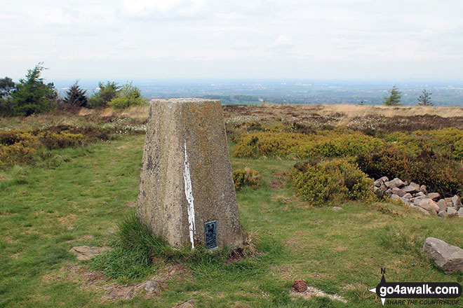 Cobden Edge summit Trig Point 