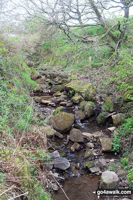 Walk d171 Lantern Pike and Cown Edge Rocks from Hayfield - Stream near Rowarth