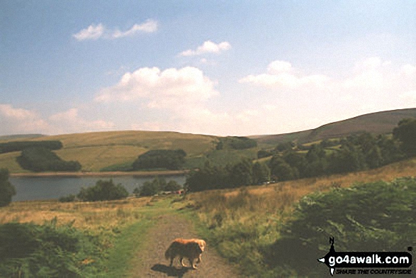 Walk d221 Shining Tor and Windgather Rocks from Errwood Reservoir - Errwood Reservoir