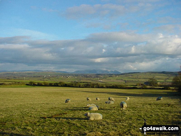 The Skiddaw Massif from the village of Prospect