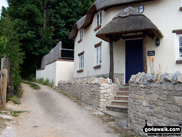 Pretty cottage in Tolpuddle 