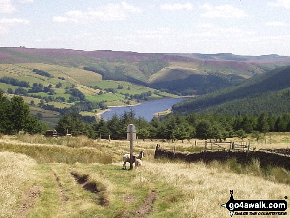 Walk d212 Alport Castles from Fairholmes Car Park, Ladybower Reservoir - Ladybower Reservoir from nr Alport Castles