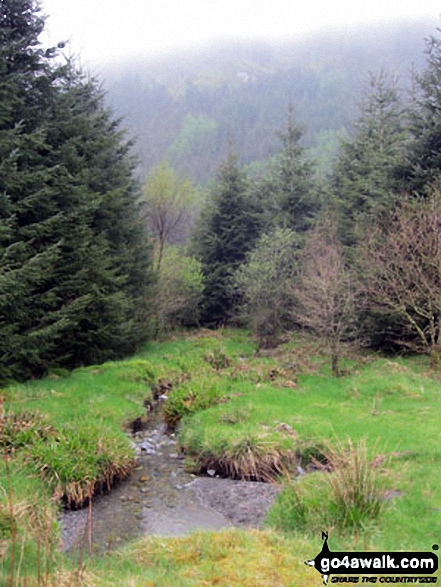 Autumn colours in Cwm Penamnen 