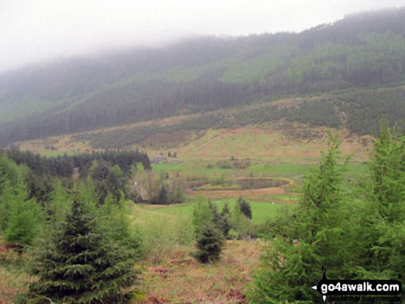 The lower slopes of Moel Penamnen from Cwm Penamnen