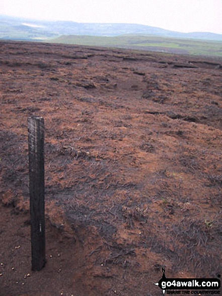 Walk d236 Higher Shelf Stones from Old Glossop - Fire Damage on Yellowslacks