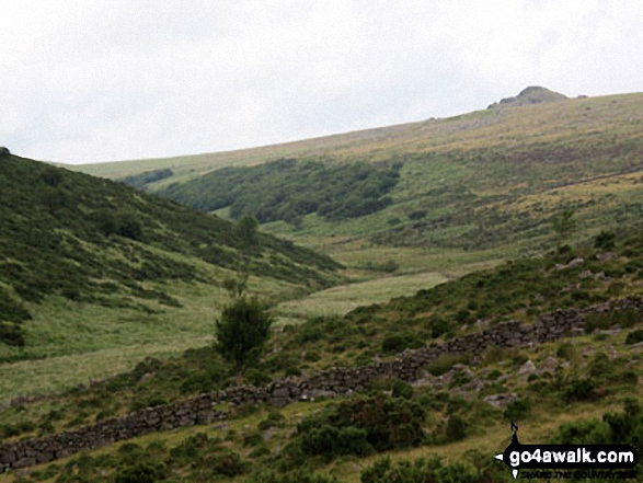 Walk de166 Higher White Tor from Two Bridges - Longaford Tor and Upper West Dart Valley from above Wistman's Wood