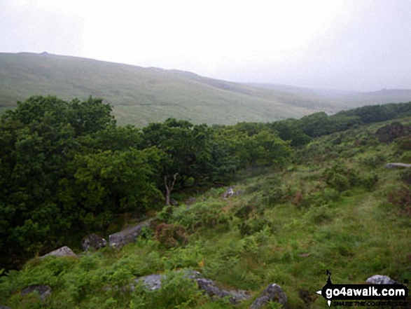 Walk de166 Higher White Tor from Two Bridges - Wistman's Wood