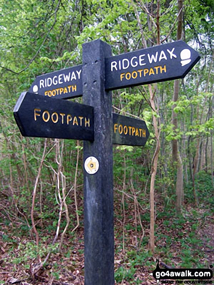 Walk bu109 Whiteleaf Cross from Great Kimble - The Ridgeway on the summit of Whiteleaf Cross