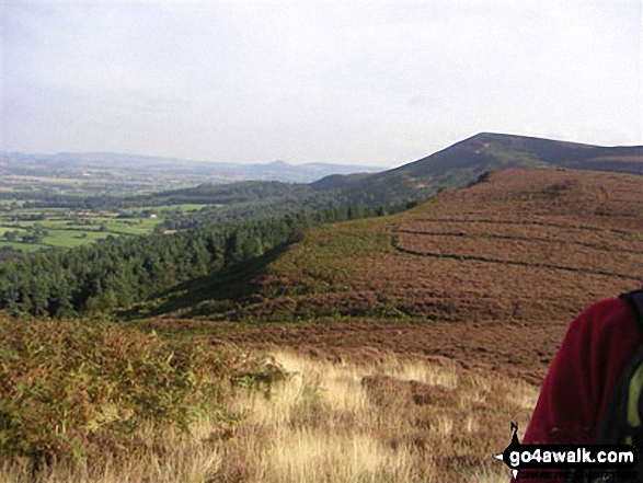 Walk ny107 Moor Gate from Hawnby - Moors Hill & Wood - on an alternative coast to coast walk