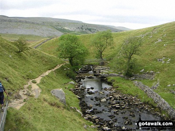 Walk ny141 Gragareth and Green Hill from Kingsdale - Kingsdale Beck - on an alternative coast to coast walk