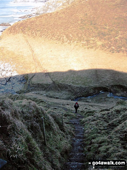 Walk co150 Trevalga Cliffs and Tintagel Castle from Tintagel - The South West Coast Path between Tintagel and Port Issac