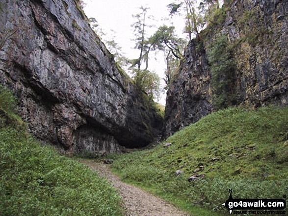 Walk ny126 Ingleborough Cave and Trow Gill from Clapham - The Ravine at Trow Gill nr Ingleborough Cave