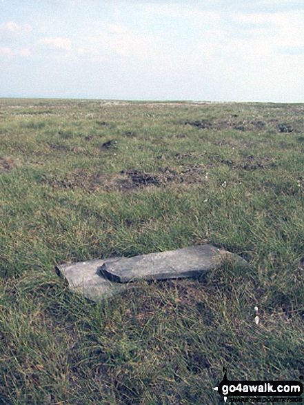 Hail Storm Hill summit cairn