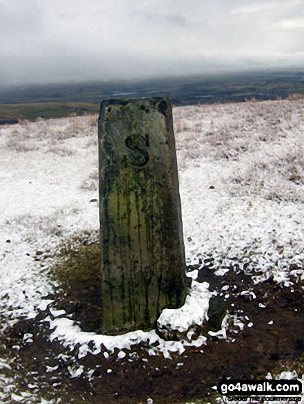 Boundary Stone on Brown Wardle Hill