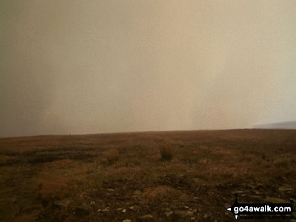 Great Hill, Withnell Moor <br><strong>Great Hill Fire - 27th March, 2003</strong><br>
I thought excellent! Let's get some pics if I can! It's midday, and the sky grows dark with smoke, but I think I'll get some pics of flames, which I can't see yet...