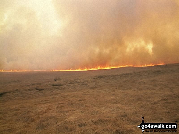 Great Hill, Withnell Moor <br><strong>Great Hill Fire - 27th March, 2003</strong><br>
It's chasing me and the flames are alot bigger than I thought! . . .