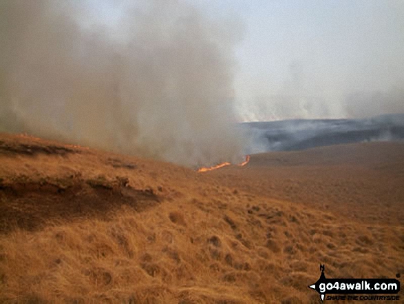 Great Hill, Withnell Moor