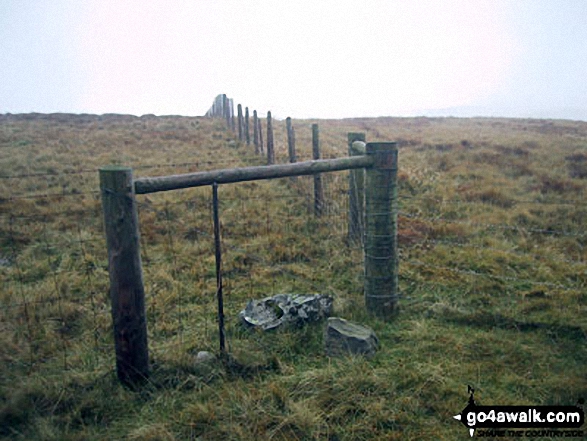 The summit of Great Yarlside,  the highest point in The Far Eastern Marches area of The Lake District Photo: Paul Gibson