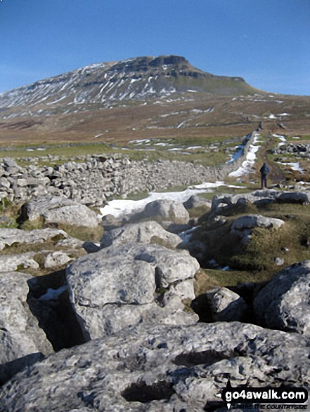 Pen-y-ghent from Brackenbottom Scar 