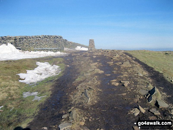 Walk ny101 The Yorkshire Three Peaks from Horton in Ribblesdale - Pen-y-ghent summit