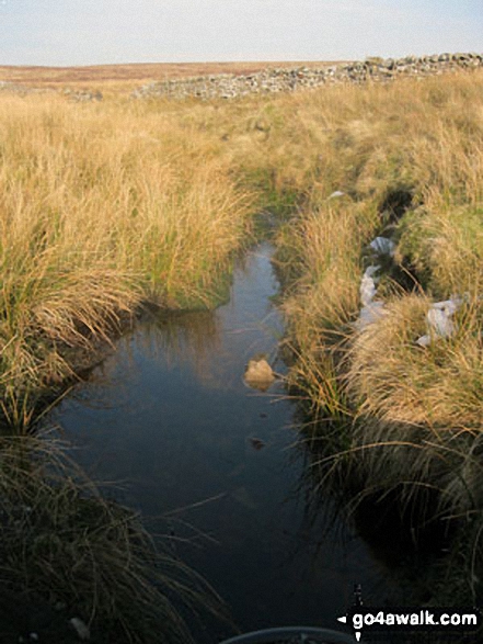 Walk ny101 The Yorkshire Three Peaks from Horton in Ribblesdale - Sell Gill Beck on Whitber Hill