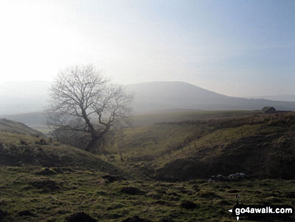 Simon Fell and Ingleborough from Whitber Hill 